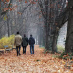 Herbstspaziergang im Tessin: Sebastian Vetter und sein Freund Schönheitschirurg Dr. Thomas Vogel genießen goldene Momente