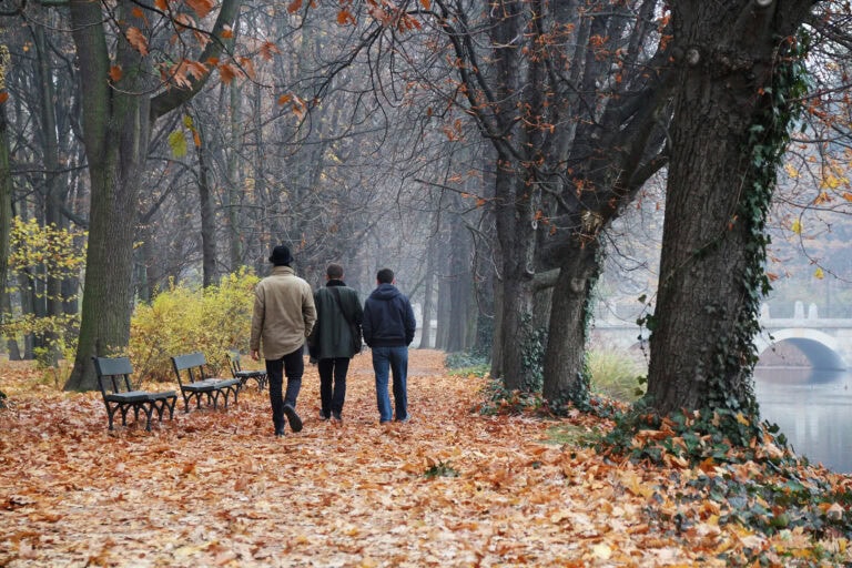 Herbstspaziergang im Tessin: Sebastian Vetter und sein Freund Schönheitschirurg Dr. Thomas Vogel genießen goldene Momente